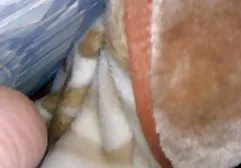 چه فاکتی سکس در جنده خانه اتفاق افتاد