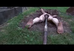 افتخار منزل سکس آبنوس